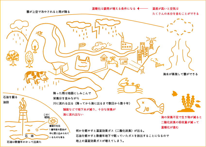 水の循環